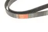 Поликлиновые ремни Micro-V (Выр-во) Gates 6PK1520 (фото 4)