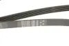 Поликлиновые ремни Micro-V (Выр-во) Gates 6PK1520 (фото 5)