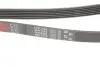 Ремень генератора Fiat Doblo/Opel Combo 1.3D 10- Gates 6PK1525 (фото 5)