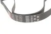 Ремінь генератора VW Golf/BMW/Ford/Opel Gates 6PK1540 (фото 2)