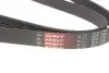 Ремінь генератора VW Golf/BMW/Ford/Opel Gates 6PK1540 (фото 3)