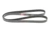 Ремінь генератора Citroen Berlingo/Peugeot Bipper/Partner (6PK1560/1565) Gates 6PK1565 (фото 1)