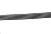 Ремінь генератора Citroen Berlingo/Peugeot Bipper/Partner (6PK1560/1565) Gates 6PK1565 (фото 3)