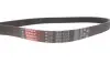 Ремень генератора Audi A4 00-08 Gates 6PK1573 (фото 4)