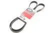 Ремінь генератора Fiat Ducato 2.2/Ford Transit 2.2/Opel Combo 1.3 CDTI 06- 6PK1670