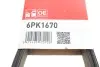 Ремень генератора Fiat Ducato 2.2/Ford Transit 2.2/Opel Combo 1.3 CDTI 06- Gates 6PK1670 (фото 6)