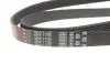 Ремінь генератора BMW 3 (E46)/Audi A6 1.8i/2.7i 00- Gates 6PK1735 (фото 2)