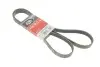 Ремінь генератора BMW 3 (E90-E93)/X1 (E84) 3.2D 07-11 N47 D20 Gates 6PK1780 (фото 1)