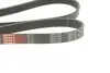 Ремінь генератора BMW 3 (E90-E93)/X1 (E84) 3.2D 07-11 N47 D20 Gates 6PK1780 (фото 2)
