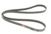 Ремінь генератора BMW 3 (E90-E93)/X1 (E84) 3.2D 07-11 N47 D20 Gates 6PK1780 (фото 4)
