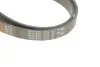 Ремень генератора Ford Focus 1.4/1.6 16V 98-04 Gates 6PK1915 (фото 4)