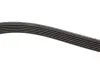 Ремінь генератора Audi A8 3.0i 03-06/Lexus GS/IS 3.0/3.5 00-11/Ford Fiesta 1.25-1.6 94-02 Gates 6PK1928 (фото 3)