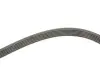Ремень генератора BMW 3 (E46) 2.0d 01-05 M47 Gates 6PK2090 (фото 3)