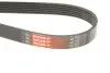 Ремень генератора BMW 3 (E46) 2.0d 01-05 M47 Gates 6PK2090 (фото 5)