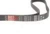 Ремень генератора MB Sprinter 2.3TDI 96- Gates 6PK2115 (фото 2)