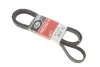 Ремень генератора VW T4 2.5 90-03/Ford Fiesta/Mondeo 1.8/2.0 00-08/Jeep Grand Cherokee 4.7 01-08 Gates 6PK2223 (фото 1)