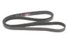 Ремень генератора VW T4 2.5 90-03/Ford Fiesta/Mondeo 1.8/2.0 00-08/Jeep Grand Cherokee 4.7 01-08 Gates 6PK2223 (фото 4)