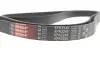 Ремень генератора MB W202/211 2.0/2.2/2.7CDI Gates 6PK2245 (фото 4)