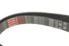 Ремень генератора MB W202/210 M112/113 97- (WP,PS) Gates 6PK2315 (фото 2)