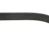 Ремень генератора MB W202/210 M112/113 97- (WP,PS) Gates 6PK2315 (фото 3)