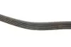 Ремінь генератора MB E-class (W124/W211)/M-class (W164) 03-12 M104 Gates 6PK2358 (фото 3)