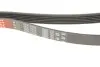 Ремінь генератора MB E-class (W124/W211)/M-class (W164) 03-12 M104 Gates 6PK2358 (фото 4)