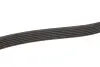 Ремень генератора Audi A4/A5/A6 2.7TDI/3.0TDI 04-11 Gates 6PK2500 (фото 4)