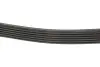 Поликлиновые ремни Micro-V (Выр-во) Gates 6PK2625 (фото 3)