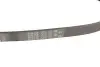 Ремень генератора Skoda Octavia/Fabia/VW Caddy III/Golf III/V/VI 1.4/1.6 91- Gates 6PK738 (фото 4)