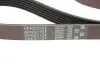 Ремінь генератора 6PK831 Transit 2.0 Di/TDCi 00> (-AC) Gates 6PK831SF (фото 5)