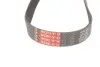 Ремінь генератора Chevrolet Aveo 1.4 06-07 Gates 6PK883 (фото 3)