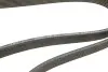 Ремінь генератора BMW 5 (F10/F11) 10-11 Gates 7DPK1697 (фото 4)