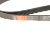 Поліклінові ремені Micro-V Gates 7PK1645 (фото 4)