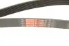 Поліклінові ремені Micro-V XS Gates 7PK1685XS (фото 5)