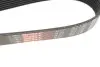 Ремінь генератора Renault Megane II 2.0 dCi 05-09 Gates 7PK1705 (фото 3)