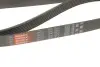 Ремінь поліклінової BMW 3 E90-93 05-12 Gates 7PK1855 (фото 3)