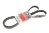 Ремень генератора Land Rover Discovery/Range Rover 2.5 Td5/3.9-4.6 93-04 7PK1870
