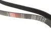 Ремень генератора Jeep Grand Cherokee II 3.1TD 99-01 Gates 8PK2485 (фото 2)