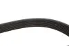 Ремень генератора Jeep Grand Cherokee II 3.1TD 99-01 Gates 8PK2485 (фото 3)