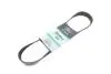 Ремінь генератора Man TGA 00-/ E2000 95-00 (8PK880) Gates 8PK880HD (фото 2)