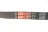 Ремінь генератора BMW 3 (F30)/5 (F10) 11-16 (N55B30A) (8PK942) Gates 8PK942EST (фото 5)