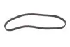 Комплект ГРМ Renault Kangoo 1.9D 97- Gates K015484XS (фото 11)