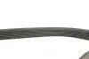 Комплект ремня генератора Renault Megane II/III 2.0 dCi 05- (7PK1705) Gates K017PK1705 (фото 3)