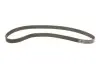 Комплект ГРМ Audi A3/A4/A6/TT/Skoda Octavia/VW Golf 1.8T 96-10 (23x150z) Gates K025491XS (фото 2)