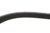 Комплект ременя генератора VW T5 1.9 TDI 03-09 (6DPK1195) Gates K026DPK1195 (фото 3)
