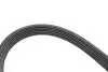 Комплект ремня генератора Skoda Octavia/VW Golf IV 1.4/1.6 16V 96-10 (6PK1548) Gates K026PK1548 (фото 3)