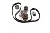 Ремкомплекти приводу ГРМ автомобілів PowerGrip Kit Gates K035453XS (фото 3)