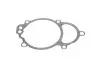 Прокладка кришки ГРМ Audi A4/A6/Q3/Q5/Skoda Octavia/Superb 07- Gazo GZ-A1286 (фото 1)