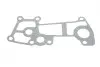 Прокладка радіатора масляного Citroen Jumper/Fiat Ducato/Iveco Daily 3.0 D 06- Gazo GZ-A1534 (фото 1)