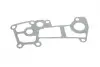 Прокладка радіатора масляного Citroen Jumper/Fiat Ducato/Iveco Daily 3.0 D 06- Gazo GZ-A1534 (фото 2)
